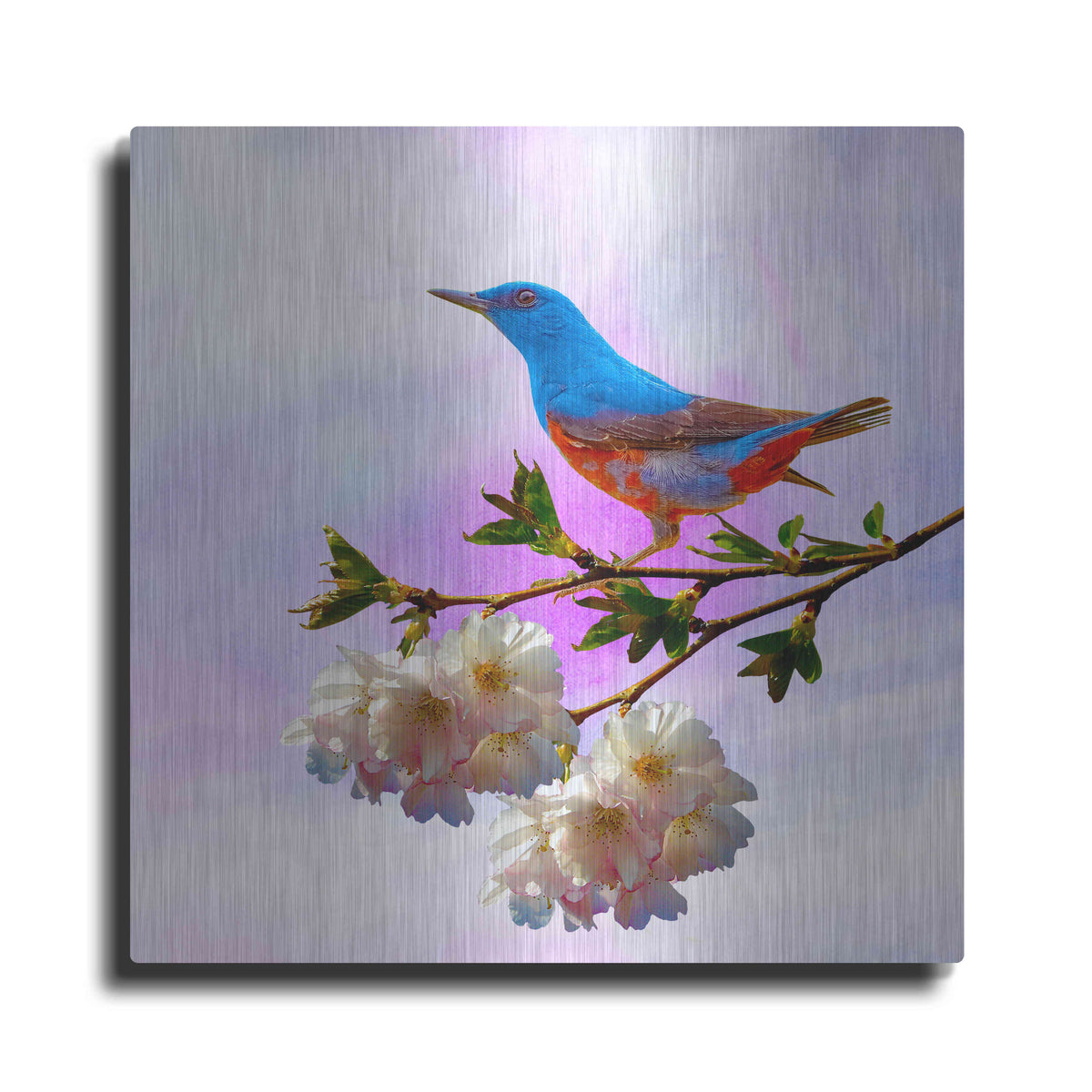 Luxe Metal Art 'Spring Bird 3B' by Ata Alishahi, Metal Wall Art