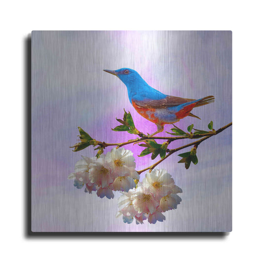 Luxe Metal Art 'Spring Bird 3B' by Ata Alishahi, Metal Wall Art