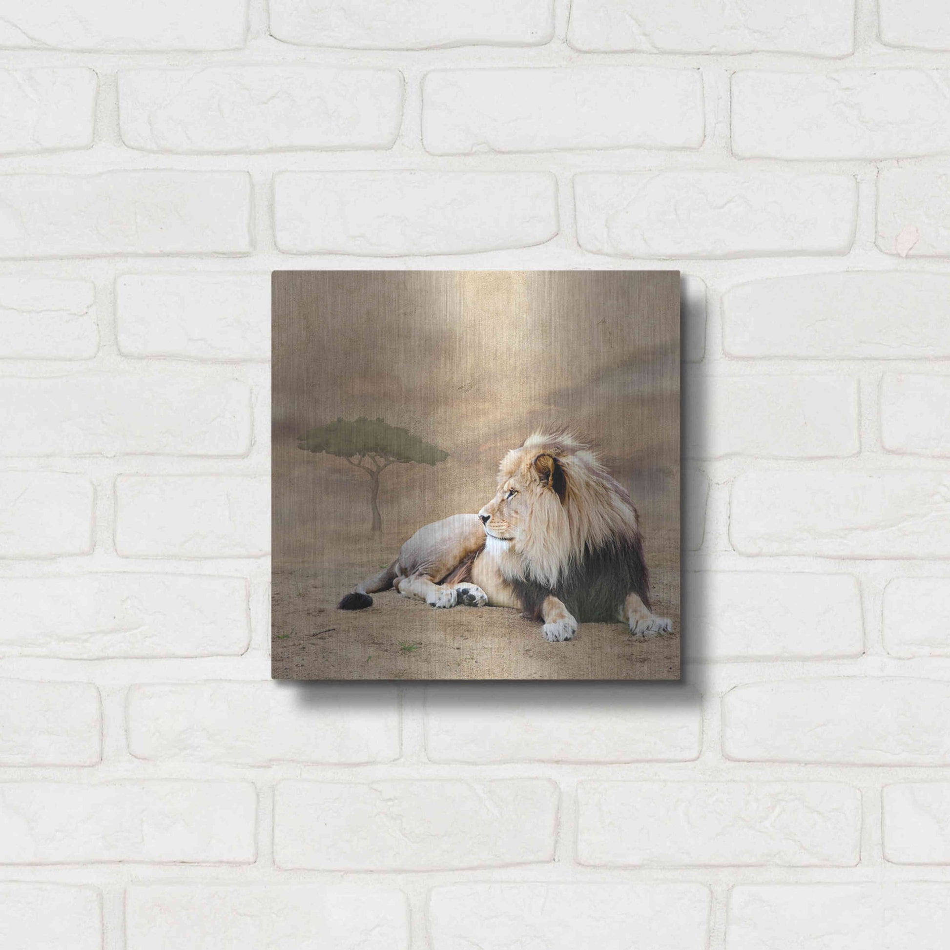 Luxe Metal Art 'The King 1A' by Ata Alishahi, Metal Wall Art,12x12