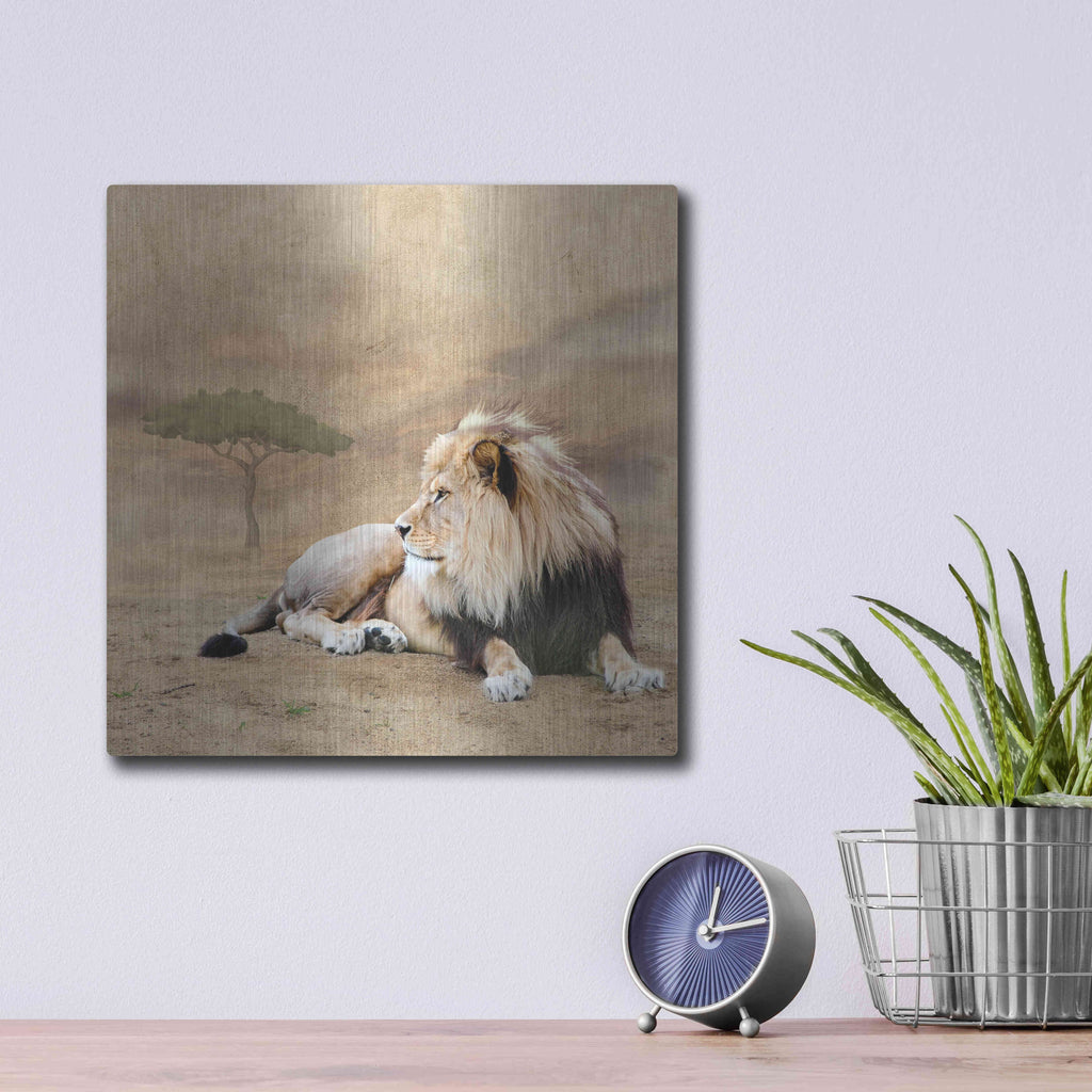 Luxe Metal Art 'The King 1A' by Ata Alishahi, Metal Wall Art,12x12