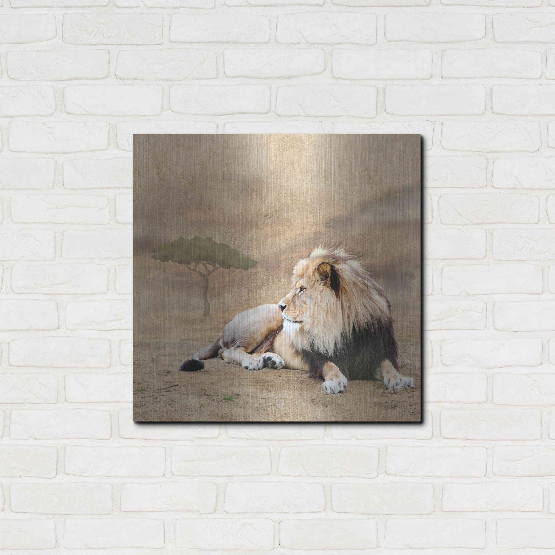 Luxe Metal Art 'The King 1A' by Ata Alishahi, Metal Wall Art,24x24