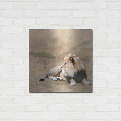 Luxe Metal Art 'The King 1A' by Ata Alishahi, Metal Wall Art,24x24