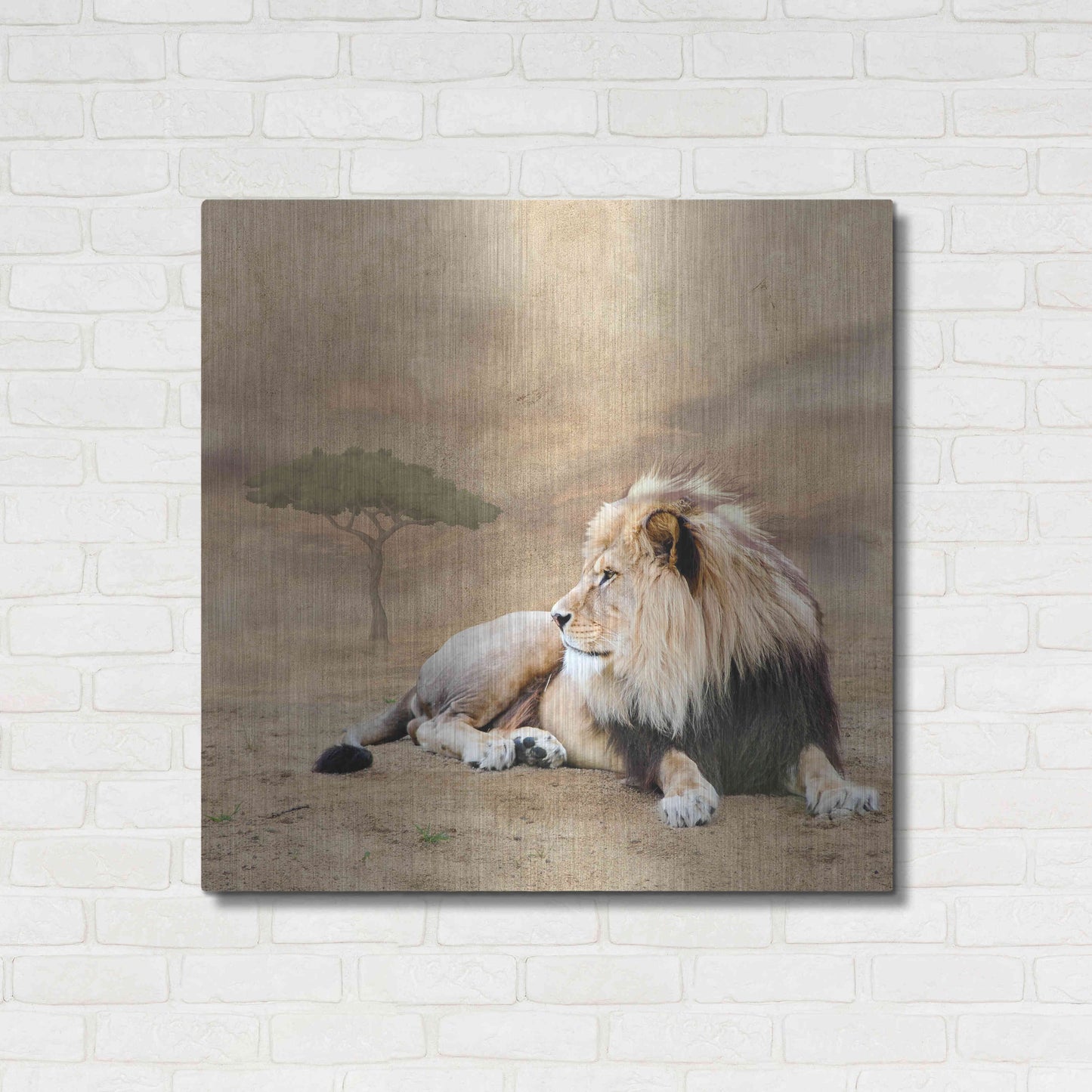 Luxe Metal Art 'The King 1A' by Ata Alishahi, Metal Wall Art,36x36