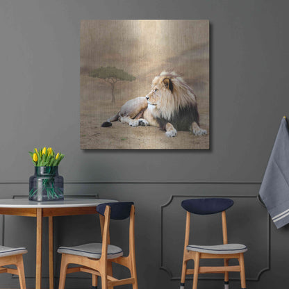 Luxe Metal Art 'The King 1A' by Ata Alishahi, Metal Wall Art,36x36