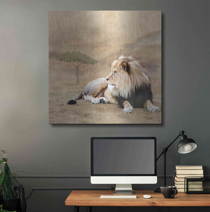 Luxe Metal Art 'The King 1A' by Ata Alishahi, Metal Wall Art,36x36