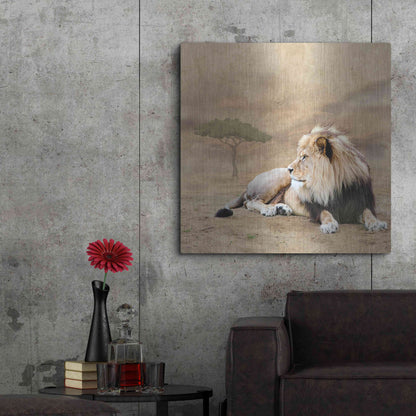 Luxe Metal Art 'The King 1A' by Ata Alishahi, Metal Wall Art,36x36