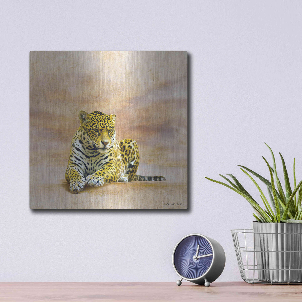 Luxe Metal Art 'The Leopard 2A' by Ata Alishahi, Metal Wall Art,12x12