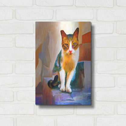 Luxe Metal Art 'Cat 1A' by Ata Alishahi, Metal Wall Art,12x16