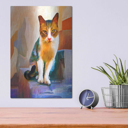 Luxe Metal Art 'Cat 1A' by Ata Alishahi, Metal Wall Art,12x16