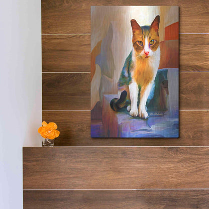 Luxe Metal Art 'Cat 1A' by Ata Alishahi, Metal Wall Art,12x16