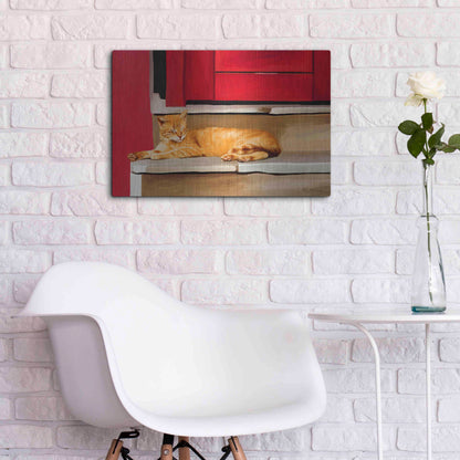 Luxe Metal Art 'Cat 2A' by Ata Alishahi, Metal Wall Art,24x16