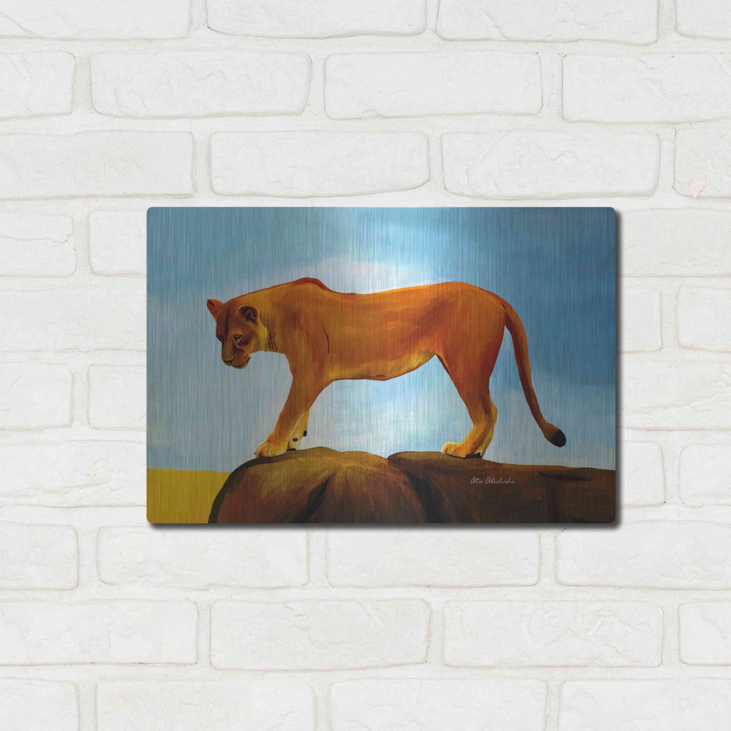 Luxe Metal Art 'Lioness On A Rock 1' by Ata Alishahi, Metal Wall Art,16x12