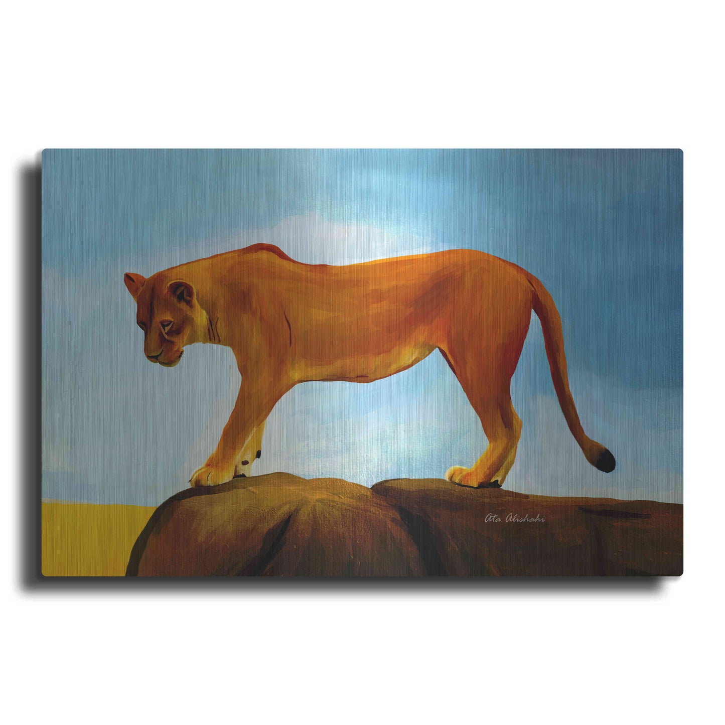 Luxe Metal Art 'Lioness On A Rock 1' by Ata Alishahi, Metal Wall Art