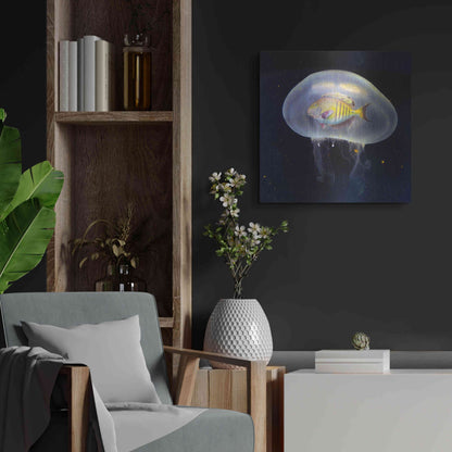 Luxe Metal Art 'No Way' by Ata Alishahi, Metal Wall Art,24x24