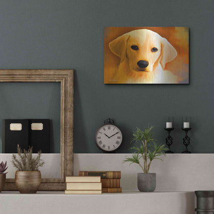 Luxe Metal Art 'Puppy' by Ata Alishahi, Metal Wall Art,16x12