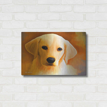 Luxe Metal Art 'Puppy' by Ata Alishahi, Metal Wall Art,24x16