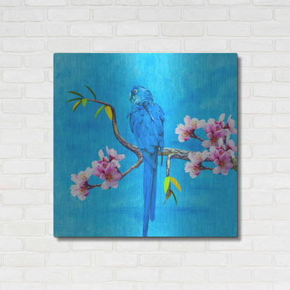 Luxe Metal Art 'Spring Bird And Flower' by Ata Alishahi, Metal Wall Art,36x36