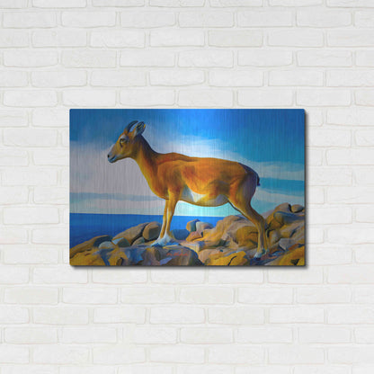 Luxe Metal Art 'Wild Life 2' by Ata Alishahi, Metal Wall Art,36x24