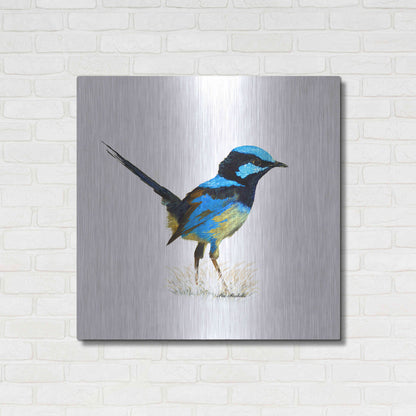 Luxe Metal Art 'Bird Collection 21' by Ata Alishahi, Metal Wall Art,36x36