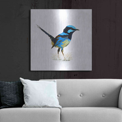 Luxe Metal Art 'Bird Collection 21' by Ata Alishahi, Metal Wall Art,36x36