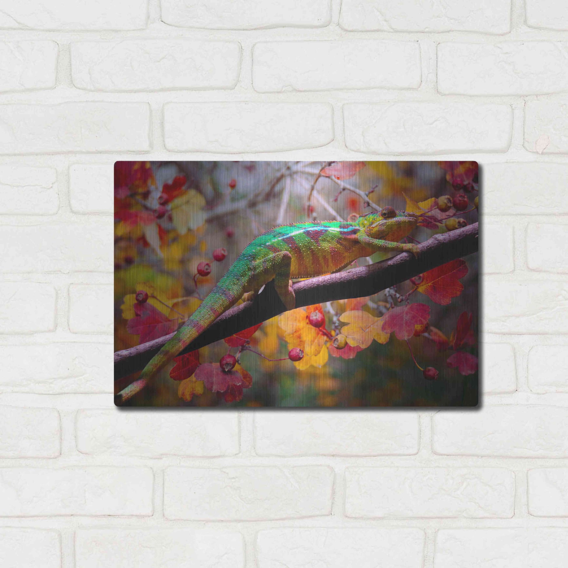 Luxe Metal Art 'Chameleons' by Ata Alishahi, Metal Wall Art,16x12