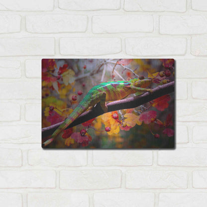 Luxe Metal Art 'Chameleons' by Ata Alishahi, Metal Wall Art,16x12