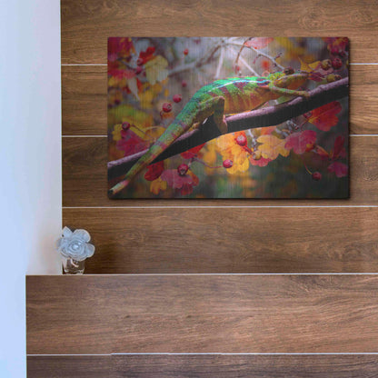 Luxe Metal Art 'Chameleons' by Ata Alishahi, Metal Wall Art,16x12