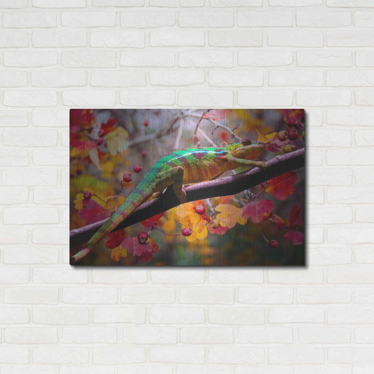 Luxe Metal Art 'Chameleons' by Ata Alishahi, Metal Wall Art,36x24