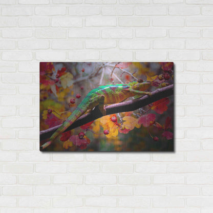 Luxe Metal Art 'Chameleons' by Ata Alishahi, Metal Wall Art,36x24