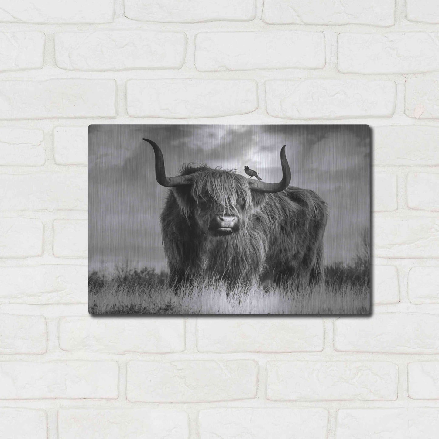 Luxe Metal Art 'A Bull' by Ata Alishahi, Metal Wall Art,16x12