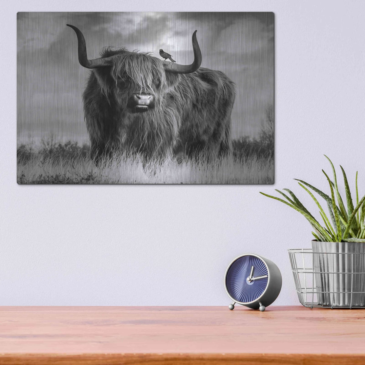 'A Bull' by Ata Alishahi – Metal Wall Art, 16x12 room view