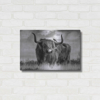 Luxe Metal Art 'A Bull' by Ata Alishahi, Metal Wall Art,24x16