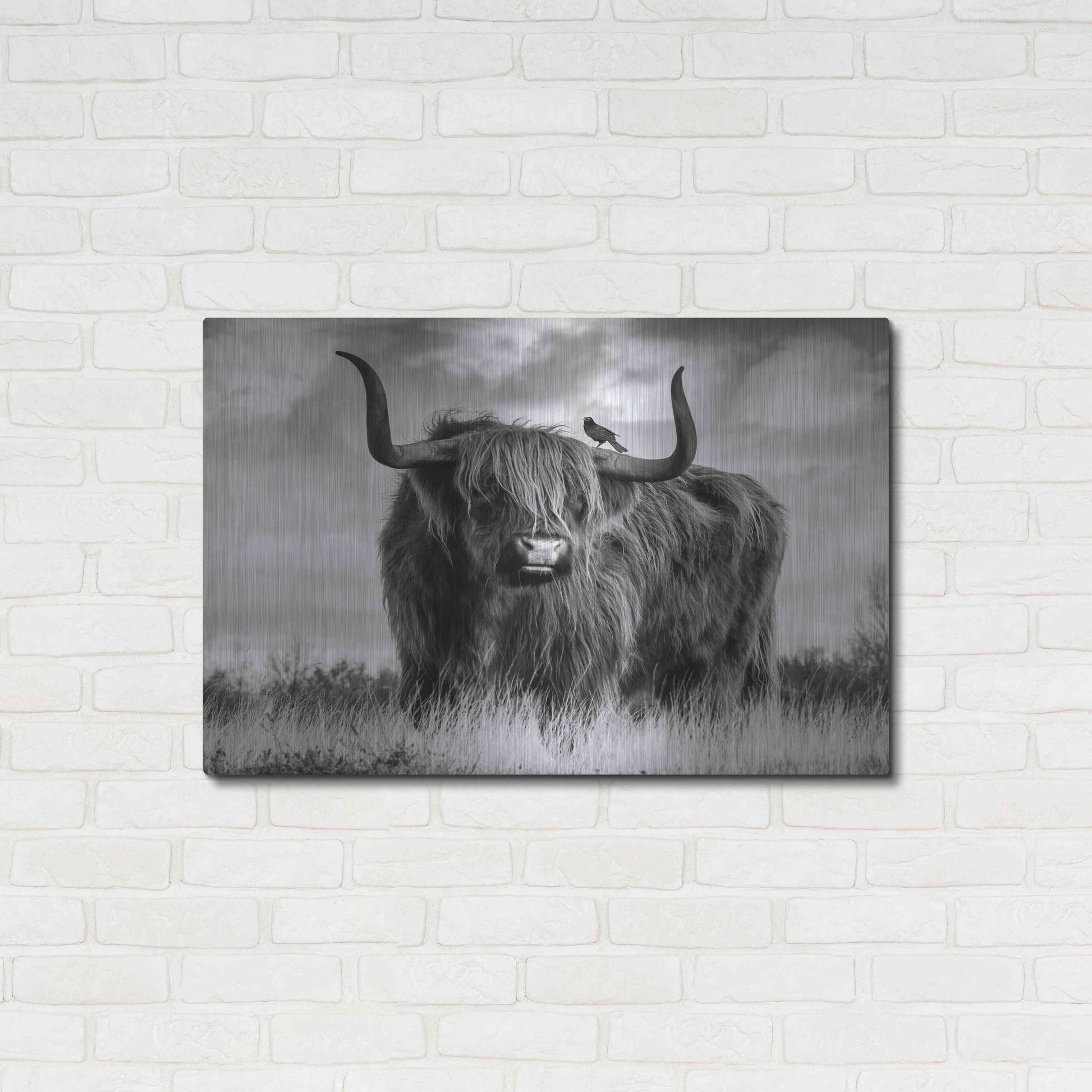 Luxe Metal Art 'A Bull' by Ata Alishahi, Metal Wall Art,36x24