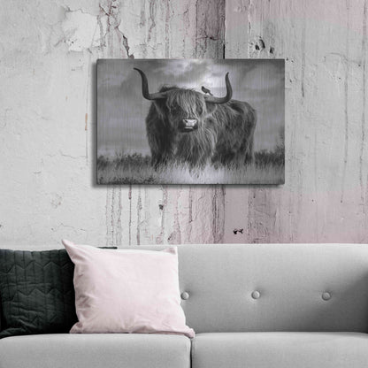 Luxe Metal Art 'A Bull' by Ata Alishahi, Metal Wall Art,36x24