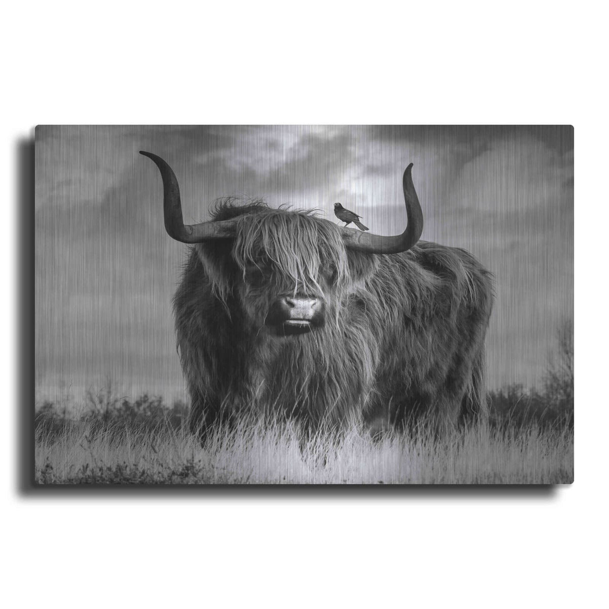 'A Bull' by Ata Alishahi – Metal Wall Art