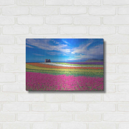 Luxe Metal Art 'Colorful Landscape' by Ata Alishahi, Metal Wall Art,24x16