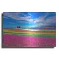 Luxe Metal Art 'Colorful Landscape' by Ata Alishahi, Metal Wall Art