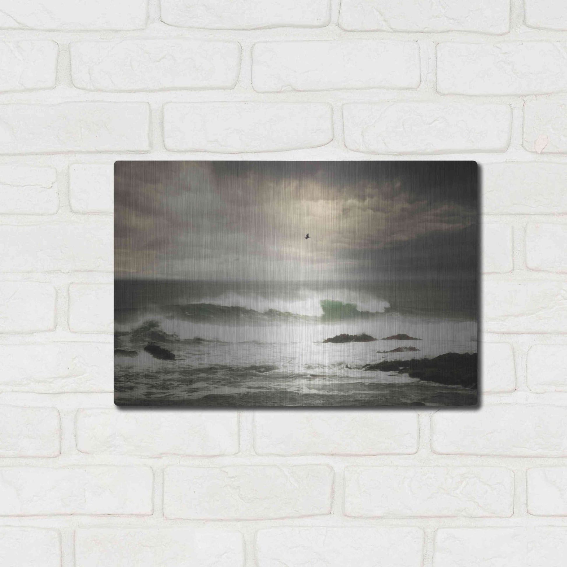 Luxe Metal Art 'The Flight' by Natalie Mikaels, Metal Wall Art,16x12