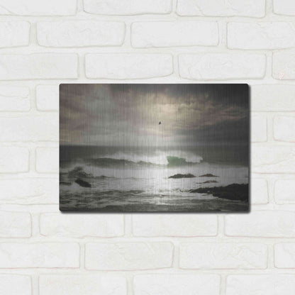 Luxe Metal Art 'The Flight' by Natalie Mikaels, Metal Wall Art,16x12