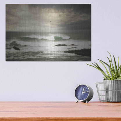 Luxe Metal Art 'The Flight' by Natalie Mikaels, Metal Wall Art,16x12