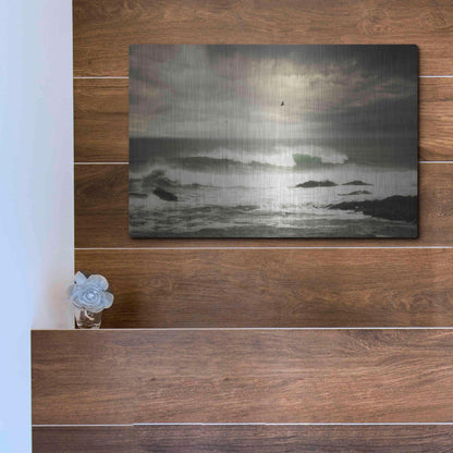 Luxe Metal Art 'The Flight' by Natalie Mikaels, Metal Wall Art,16x12