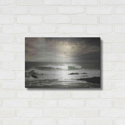 Luxe Metal Art 'The Flight' by Natalie Mikaels, Metal Wall Art,24x16