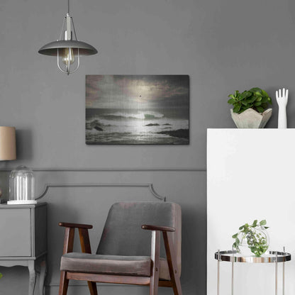 Luxe Metal Art 'The Flight' by Natalie Mikaels, Metal Wall Art,24x16