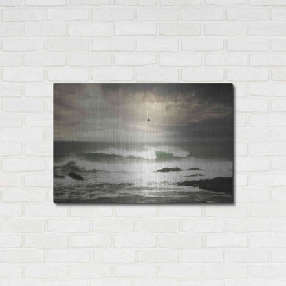 Luxe Metal Art 'The Flight' by Natalie Mikaels, Metal Wall Art,36x24