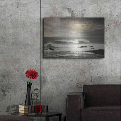 Luxe Metal Art 'The Flight' by Natalie Mikaels, Metal Wall Art,36x24