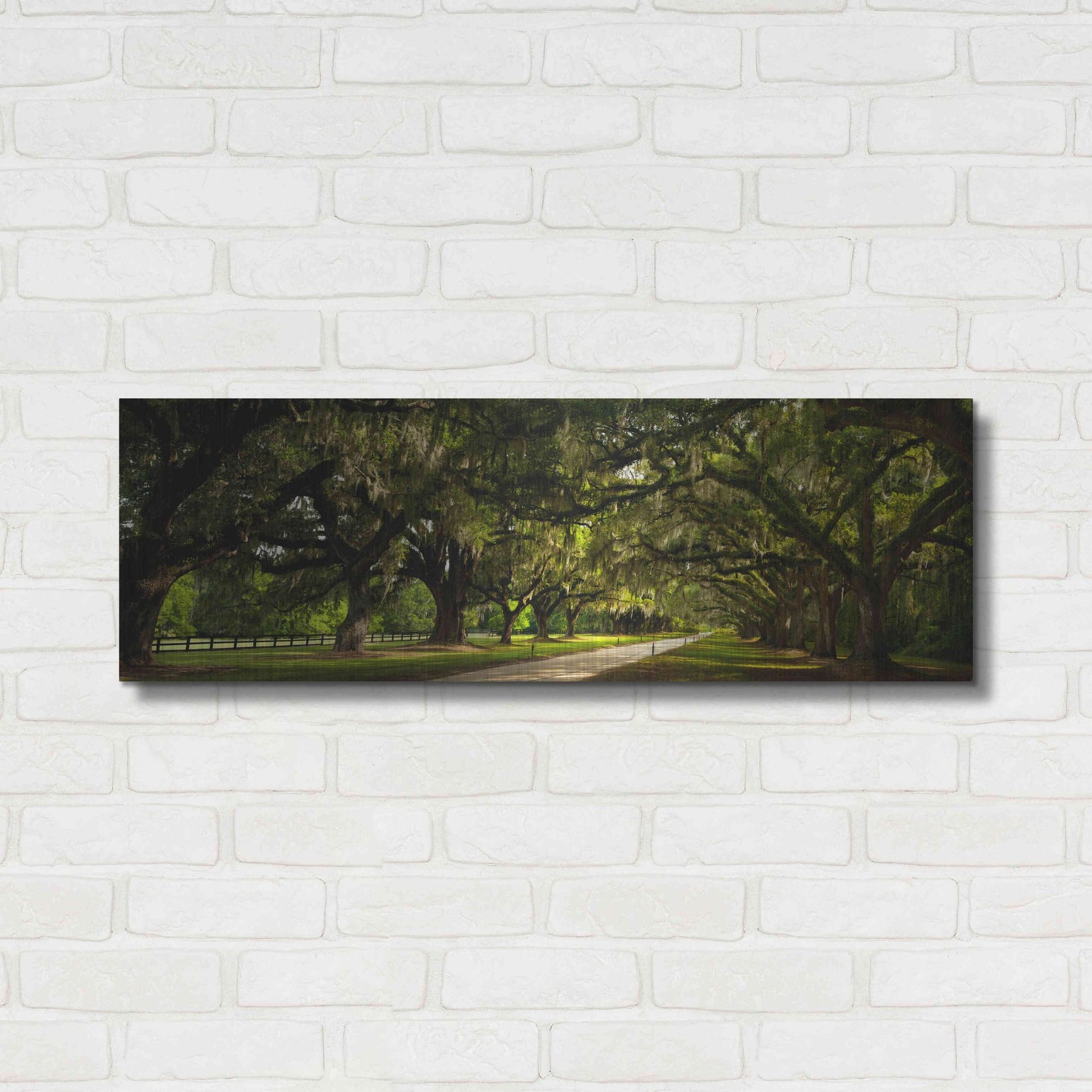 Luxe Metal Art 'Southern Canopy' by Natalie Mikaels, Metal Wall Art,36x12