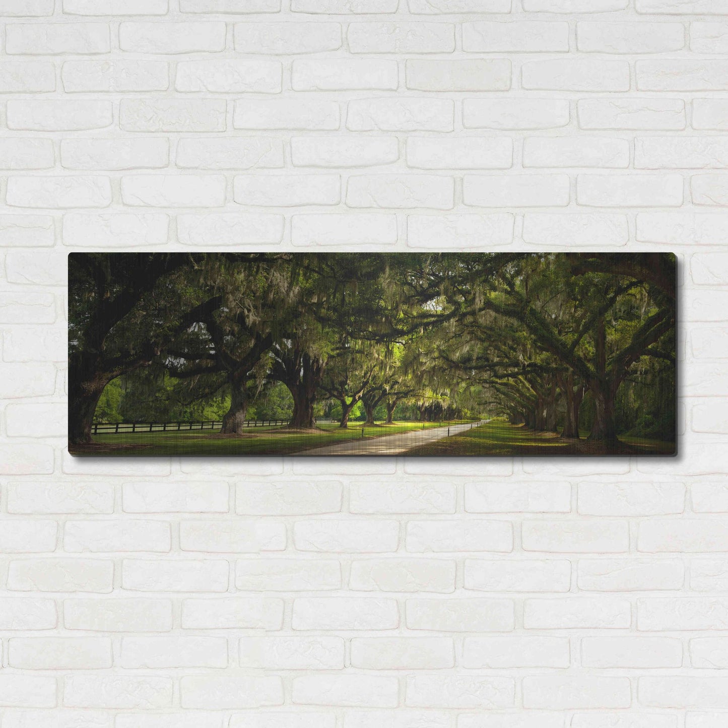 Luxe Metal Art 'Southern Canopy' by Natalie Mikaels, Metal Wall Art,48x16