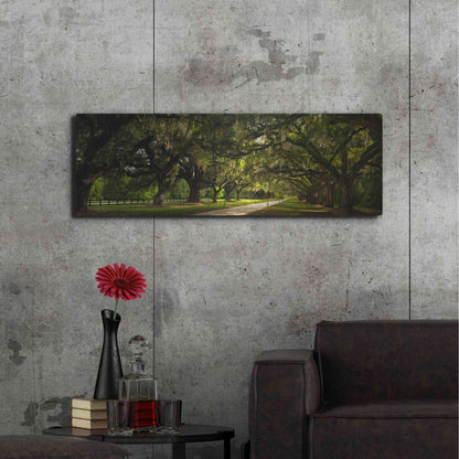 Luxe Metal Art 'Southern Canopy' by Natalie Mikaels, Metal Wall Art,48x16