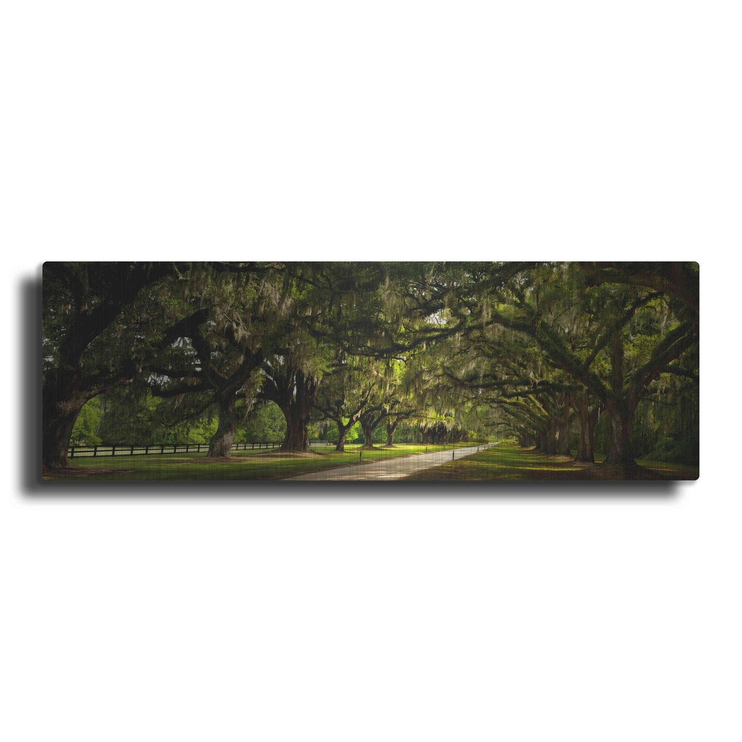 Luxe Metal Art 'Southern Canopy' by Natalie Mikaels, Metal Wall Art