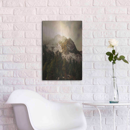 Luxe Metal Art 'Majestic Peak' by Natalie Mikaels, Metal Wall Art,16x24